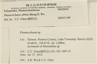 登錄號:F0028452藏品圖，第3張