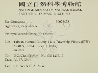 登錄號:F0028453藏品圖，第2張