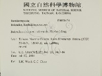 登錄號:F0028454藏品圖，第2張