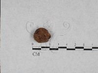 登錄號:F0028454藏品圖，第1張