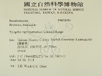 登錄號:F0028456藏品圖，第2張