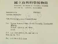 登錄號:F0028457藏品圖，第2張