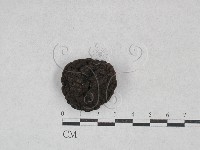 登錄號:F0028457藏品圖，第1張