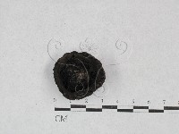 登錄號:F0028457藏品圖，第3張