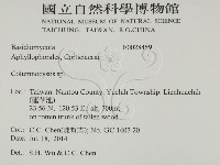 登錄號:F0028459藏品圖，第2張