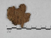 登錄號:F0028459藏品圖，第1張