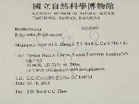 登錄號:F0028460藏品圖，第2張