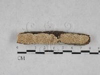 登錄號:F0028460藏品圖，第3張