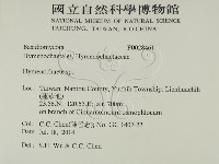 刺革菌屬藏品圖，第2張