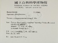 登錄號:F0028463藏品圖，第2張