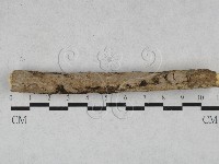 登錄號:F0028463藏品圖，第1張
