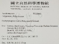 登錄號:F0028465藏品圖，第2張