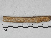 登錄號:F0028465藏品圖，第1張