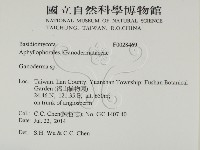 靈芝屬藏品圖，第2張