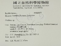 木層孔菌屬藏品圖，第2張