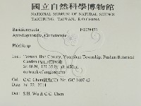 登錄號:F0028471藏品圖，第2張