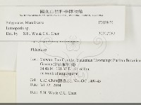 登錄號:F0028471藏品圖，第3張