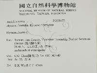 刺革菌屬藏品圖，第2張