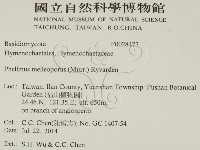 登錄號:F0028477藏品圖，第2張