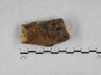 登錄號:F0028477藏品圖，第1張