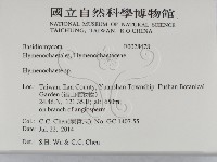 刺革菌屬藏品圖，第2張