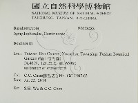 登錄號:F0028483藏品圖，第2張