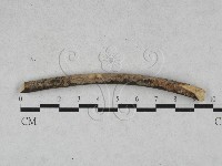 登錄號:F0028483藏品圖，第1張