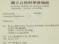 多孔菌屬藏品圖，第2張