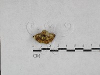 登錄號:F0028486藏品圖，第3張