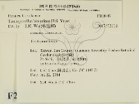 登錄號:F0028487藏品圖，第2張