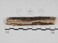 登錄號:F0028487藏品圖，第3張
