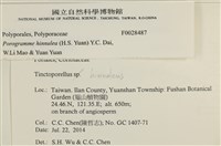登錄號:F0028487藏品圖，第4張