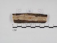 登錄號:F0028488藏品圖，第1張