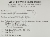 登錄號:F0028489藏品圖，第2張