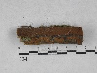 登錄號:F0028489藏品圖，第1張