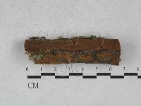 登錄號:F0028489藏品圖，第3張