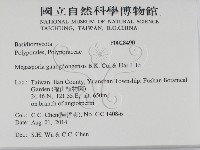 登錄號:F0028490藏品圖，第2張