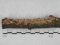 登錄號:F0028490藏品圖，第1張