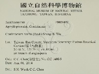 登錄號:F0028492藏品圖，第2張