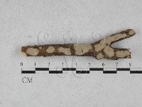 登錄號:F0028492藏品圖，第1張