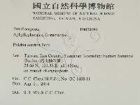 登錄號:F0028493藏品圖，第2張