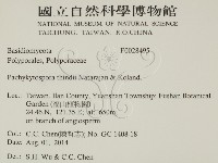 登錄號:F0028495藏品圖，第2張