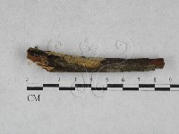 登錄號:F0028496藏品圖，第1張