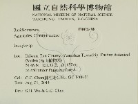 登錄號:F0028498藏品圖，第2張