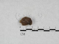 登錄號:F0028502藏品圖，第3張