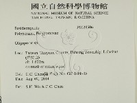 寡孔菌屬藏品圖，第2張