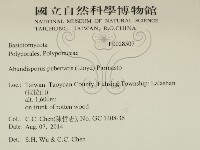 登錄號:F0028507藏品圖，第2張