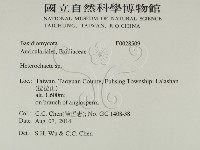 刺皮菌屬藏品圖，第2張