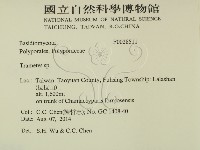 栓菌屬藏品圖，第2張