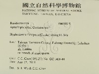 登錄號:F0028515藏品圖，第2張